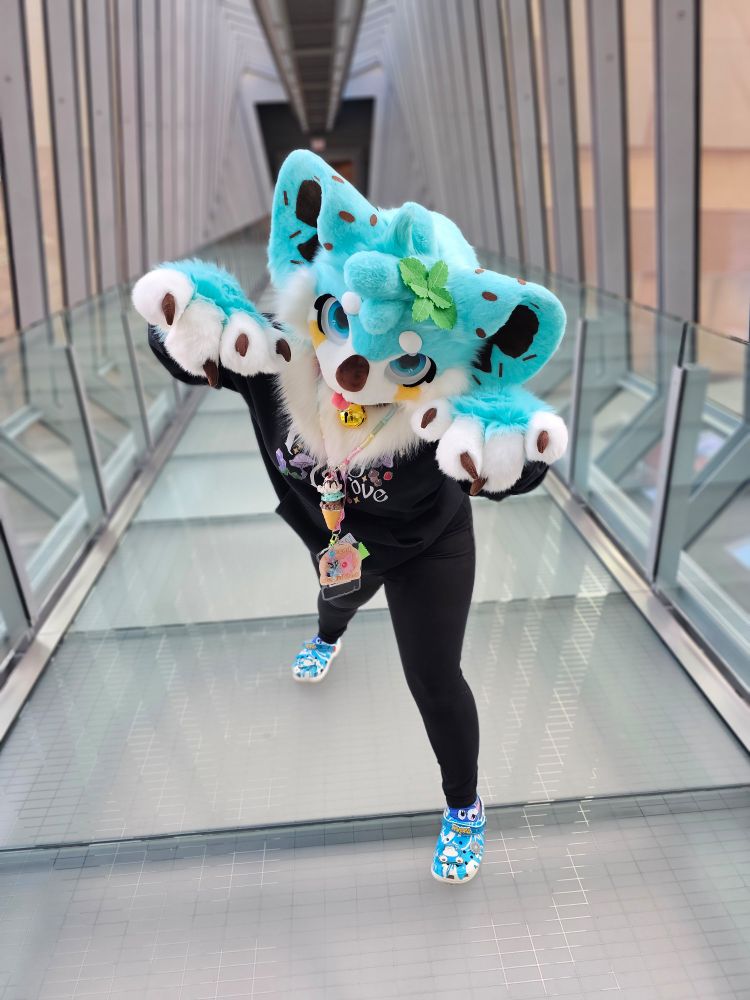 A mint chocolate chip koala fursuiter standing in a sky bridge in Columbus, Ohio. They are holding their paws up to their cheeks and tilting their head at the viewer.