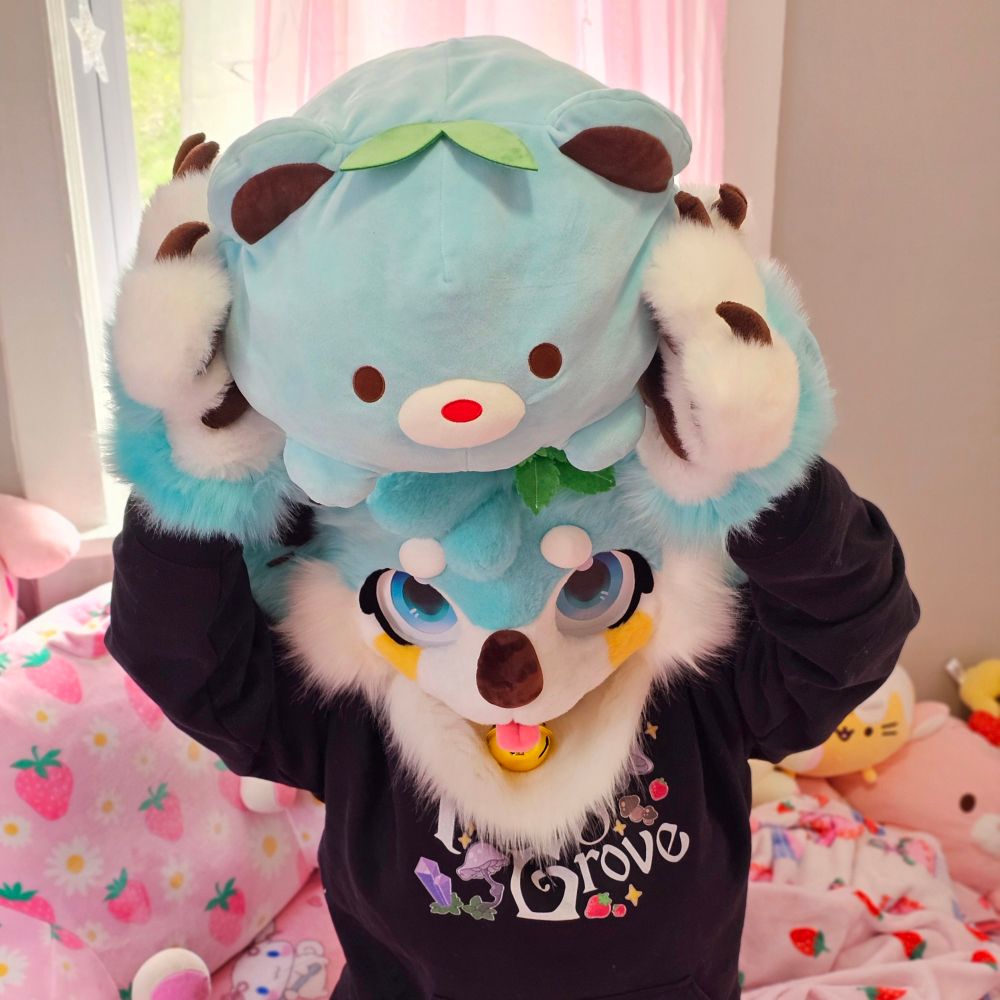 A mint chocolate chip koala fursuiter sitting on a pink bed holding a plushie above their head that unintentionally matches their fursuit. 