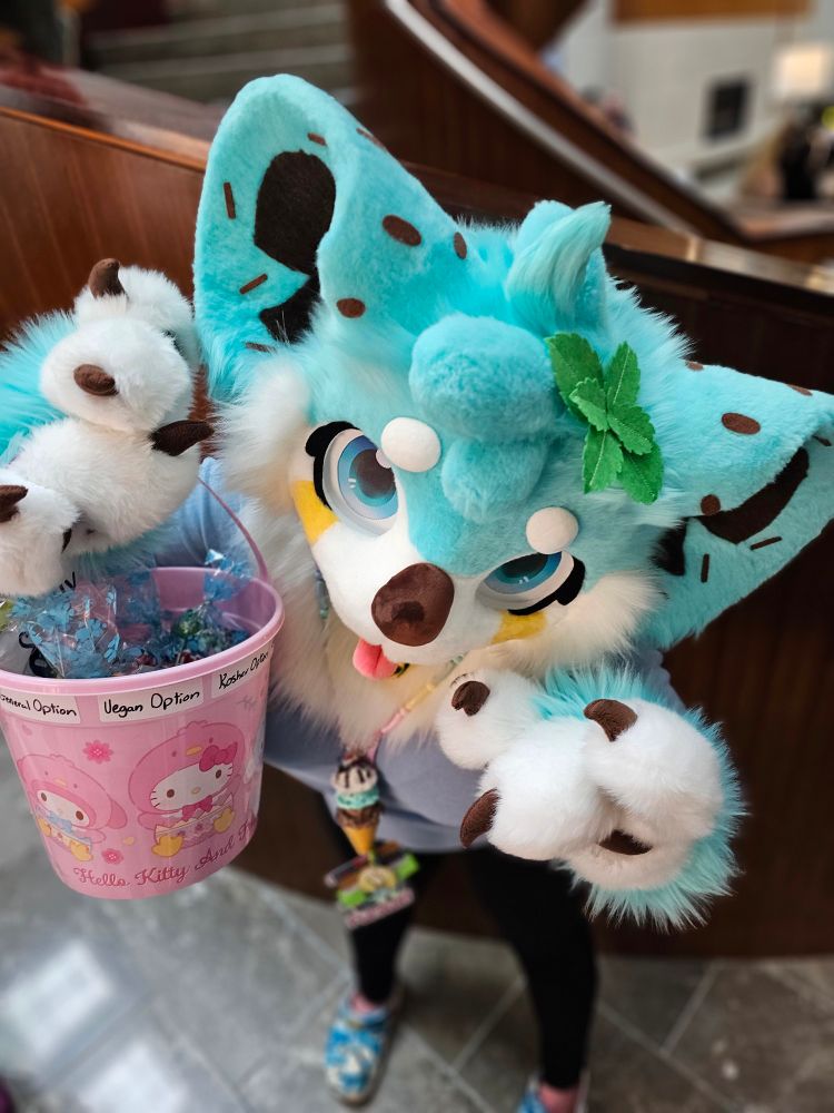 A mint chocolate chip koala fursuiter holding up a Sanrio goodie bag bucket. The furry, wearing a partial, is looking up at the viewer.