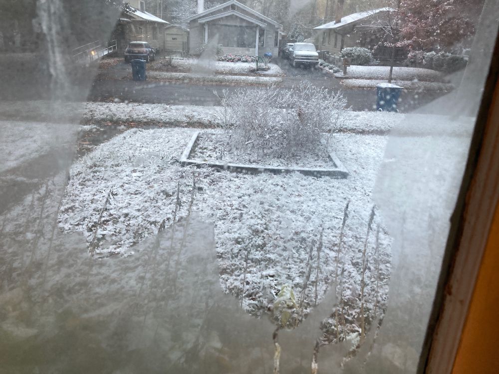 A city from yard. A thin layer of snow covers the yard and a small, weedy flowerbed. Sidewalks at left and in the middle distance are wet, as is the street. Front yards and roofs of houses across the street are covered in snow. 