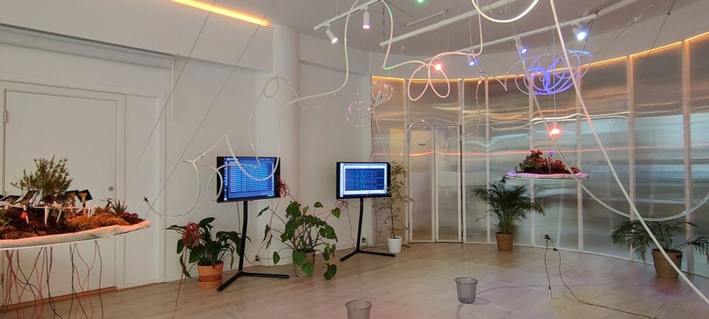 Imagen de la exposición. Solar4Rain, una simbiosis atmosférica PUNK, conecta simbólicamente el sur de España, rico en energía solar, con Noruega, rica en agua, visualizando el intercambio de recursos mediante exhibiciones dinámicas de luz, sonido y tecnologías en red.