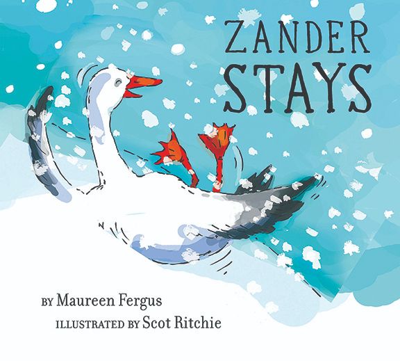 A fun, snowy winter scene of a laughing goose sliding down a hill. Snow is falling and Zander's (the goose) bright orange feet wave in the air as he slides through the snow. 