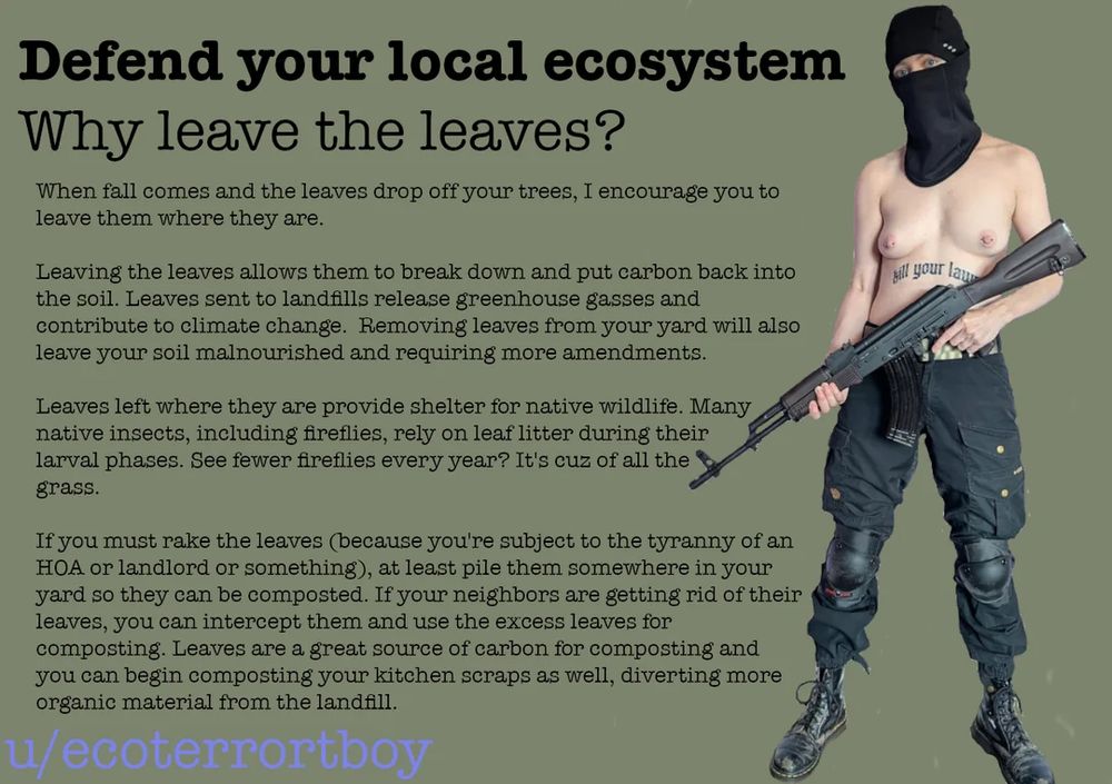 Defend your local ecosystem

Why leave the leaves?

When fall comes and the leaves drop off your trees, I encourage you to leave them where they are.

Leaving the leaves allows them to break down and put carbon back into the soil. Leaves sent to landfills release greenhouse gasses and contribute to climate change. Removing leaves from your yard will also leave your soil malnourished and requiring more amendments. 

Leaves left where they are provide shelter for native wildlife. Many native insects, including fireflies, rely on leaf litter during their larval phases. See fewer fireflies every year? Its cause of all the grass

If you must rake the leaves (because you’re subject to the tyranny of an HOA or landlord or something) at least pile them somewhere in your yard so they can be composted. If your neighbors are getting rid of their leaves, you can intercept them and use the excess leaves for composting. Leaves are a great source of carbon for composting and you can begin composting your kitchen scraps as well, diverting more organic material from the landfill. 