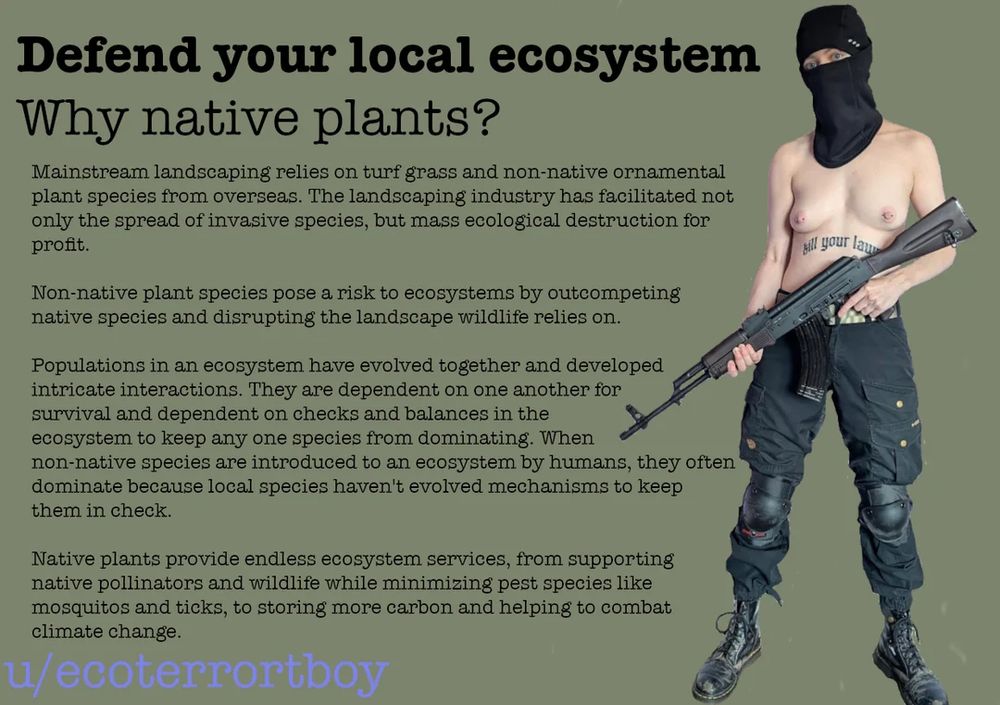 Defend your local ecosystem

Why native plants?

Mainstread landscaping relies on turf grass and non-native ornamental plant species from overseas. The landscaping industry has facilitated not only the spread of invasive species, but mass ecological destruction for profit.

Non-native plant species pose a risk to ecosystems by outcompeting native species and disrupting the landscape wildlife relies on. 

Populations in an ecosystem have evolved together and developed intricate interactions. They are dependent on one another for survival and dependent on checks and balances in the ecosystem to keep and one species from dominating. When non-native species are introduced to an ecosystem by humans, they often dominate because local species haven’t evolved mechanisms to keep them in check. 

Native plants provide endless ecosystem services, from supporting native pollinators and wildlife while minimizing pest species like mosquitos and ticks, to storing more carbon and helping to combat climate change. 