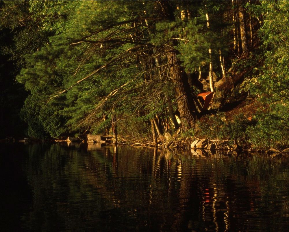 Trees along the side of a nearly-still small lake, with a red canoe near the water.