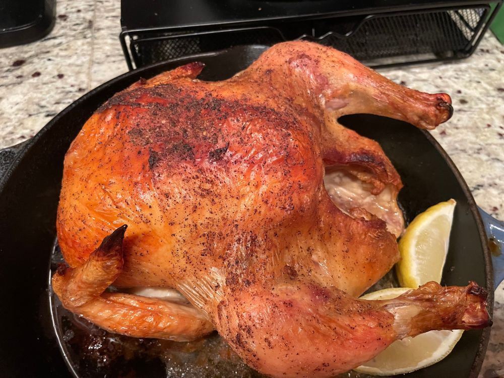 a deeply browned whole chicken in a cast iron skillet with a quartered lemon also thrown in to roast along with the chicken.