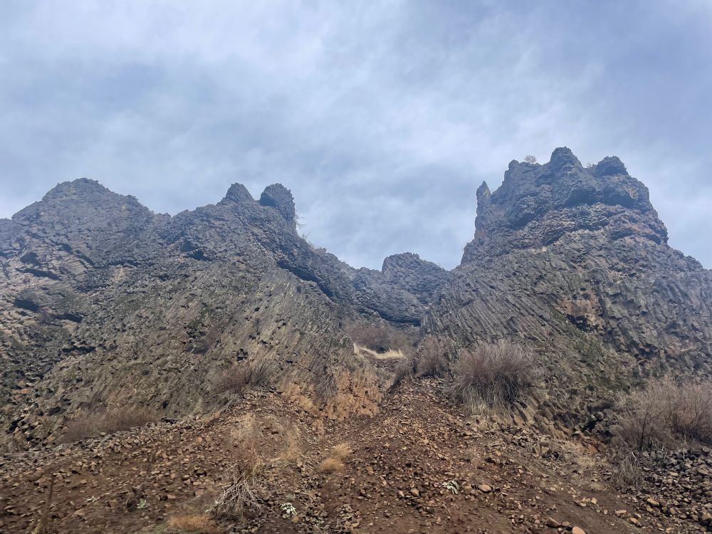 Looking up a cliff side at columns of basalt.