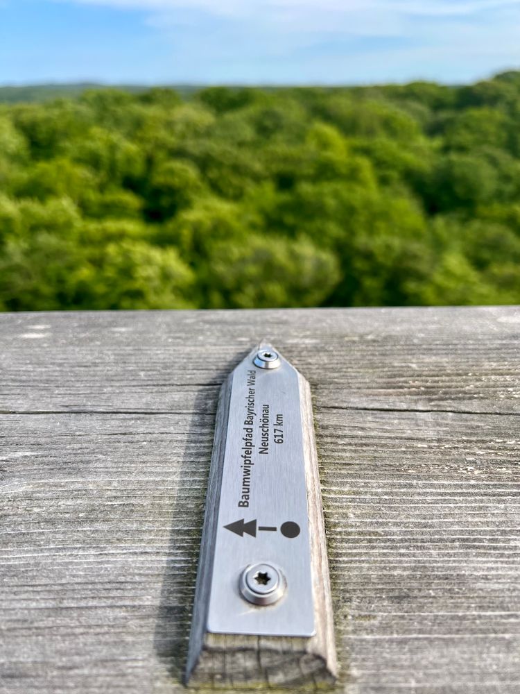 Pfeilförmiges Schild, das auf einer Brüstung angebracht ist. Es zeigt Richtung Baumwipfelpfad Neuschönau. 
Im Hintergrund grüne Bäume
