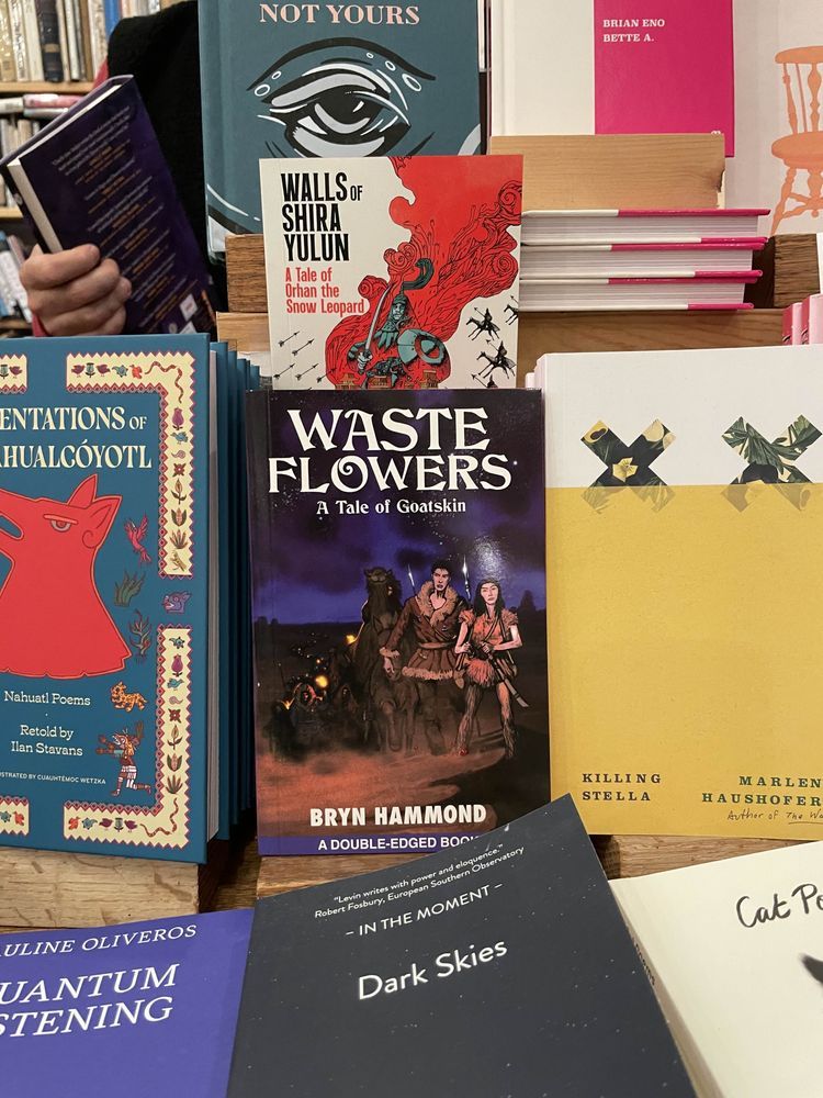 Copies of Double-Edge Sword & Sorcery, showing each of the two covers, are on display at a cute indie bookshop.