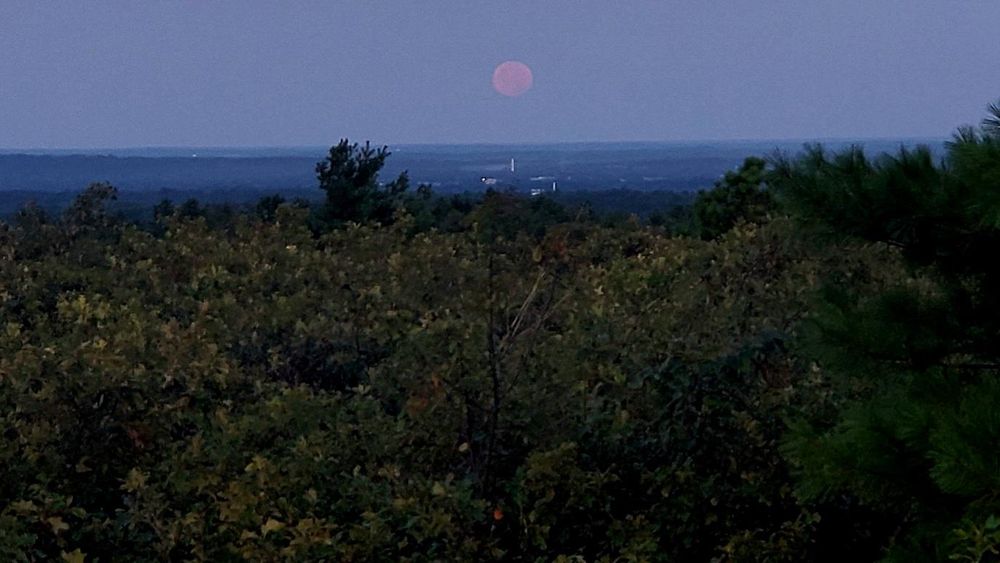 The full Moon setting this morning, Aug 9th, from Buck Hill.