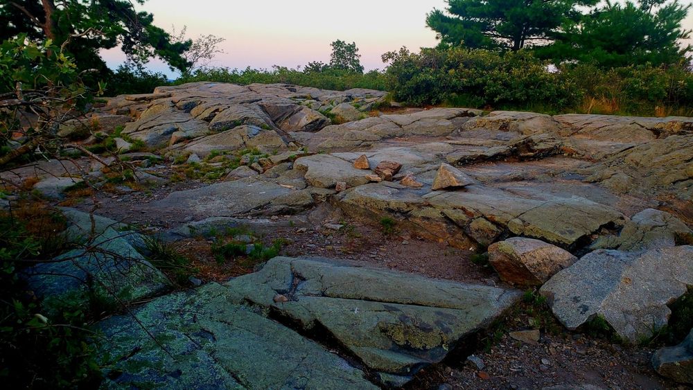 Rocky outcrops at the top of Buck Hill catching the first morning light.