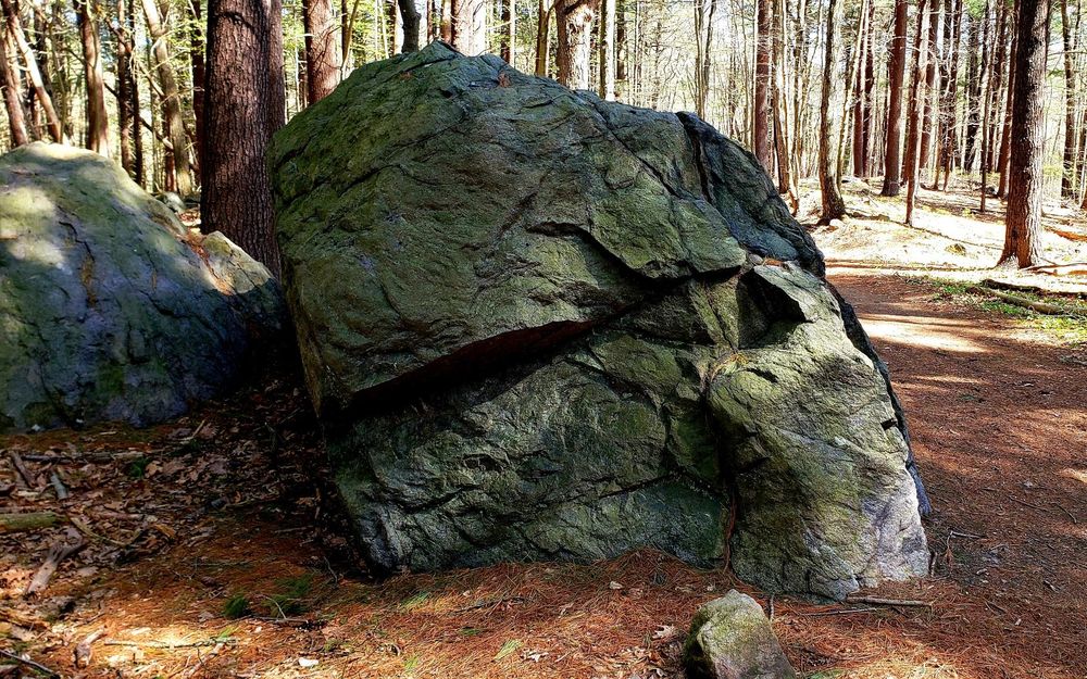 A large boulder in the woods, adjacent to a trail at the base of Buck Hill.