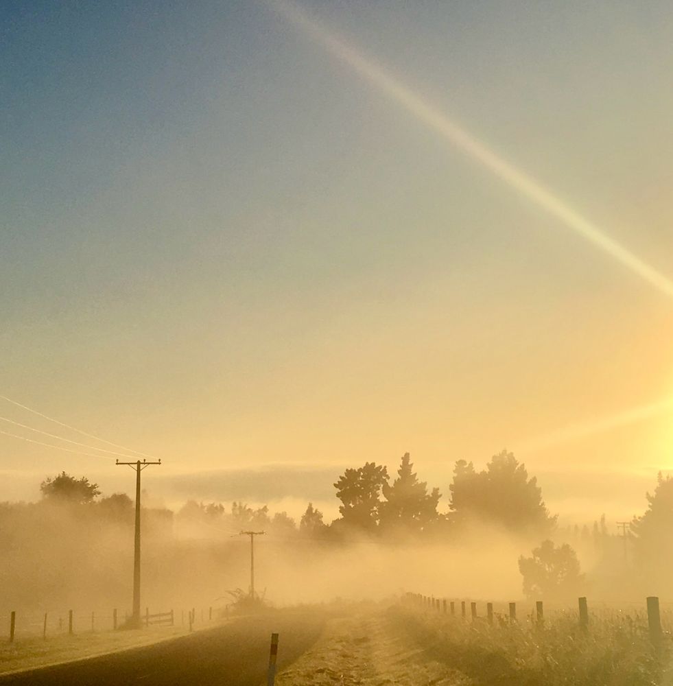 A lane lined with fence posts and telegraph poles leading downhill towards done tall trees. The misty scene is coloured by the yellowy light of sunrise and there is a sun flare to the right almost out of frame. 