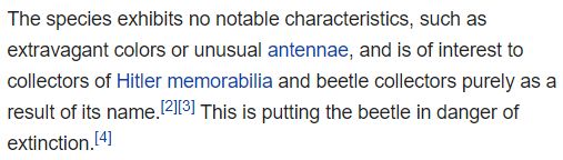 The species echibits no notable characteristics, such as extravagant colours or unusual antennae, and is of interest to collectors of Hitler memorabilia and beetle collectors purely as a result of its name. This is putting the beetle in danger of extinction.