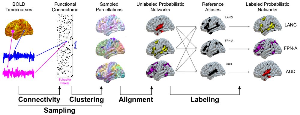 Schematic of iFC-based parcellation pipeline