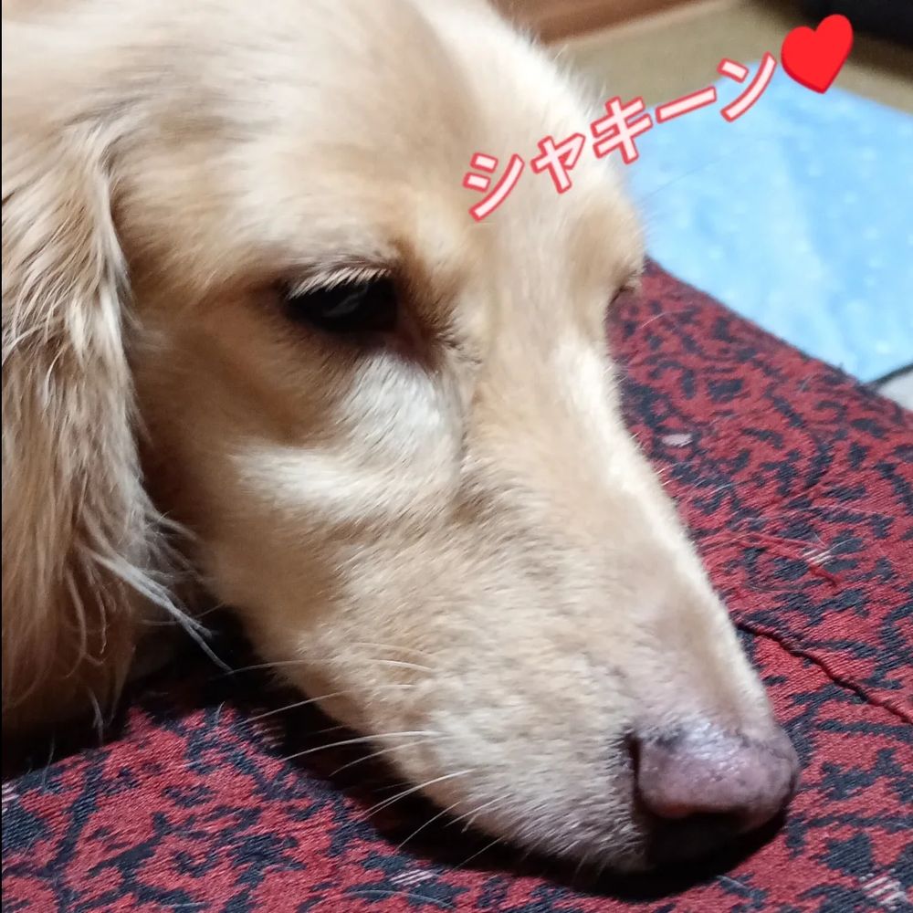 かっけぇ♥