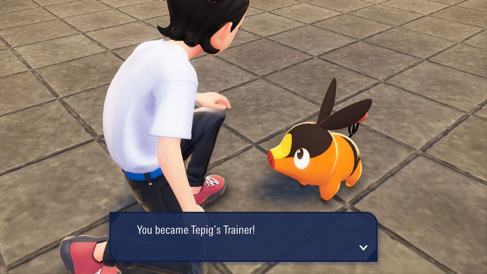 One of approximately fifty feral hogs is now my friend