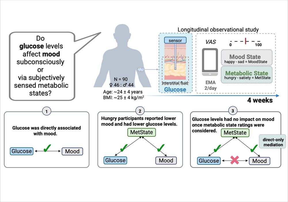 A graphical abstract showing the research question and the operationalization of the study.