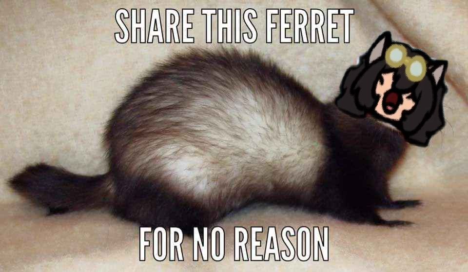 Comment image
