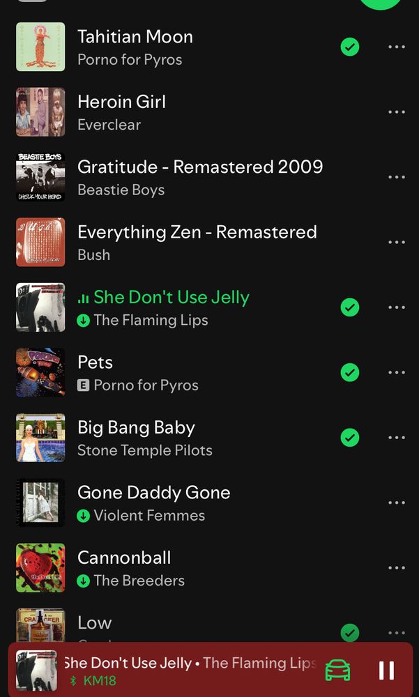 A very 90s Spotify playlist 