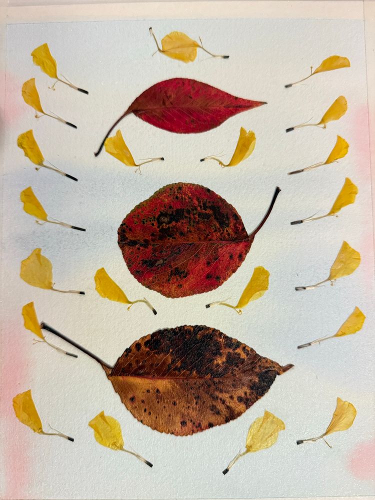 3 pear leaves and 22 marigold flowerlets