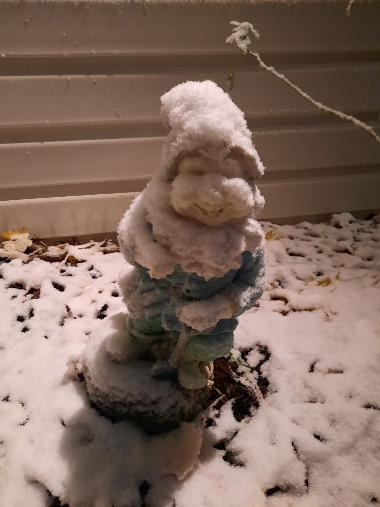 A smiling garden gnome covered in a dusting of snow. The ground is also covered in snow 