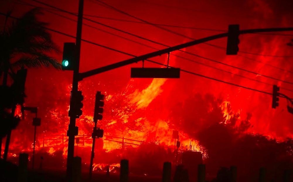 Pacific Palisades fire.