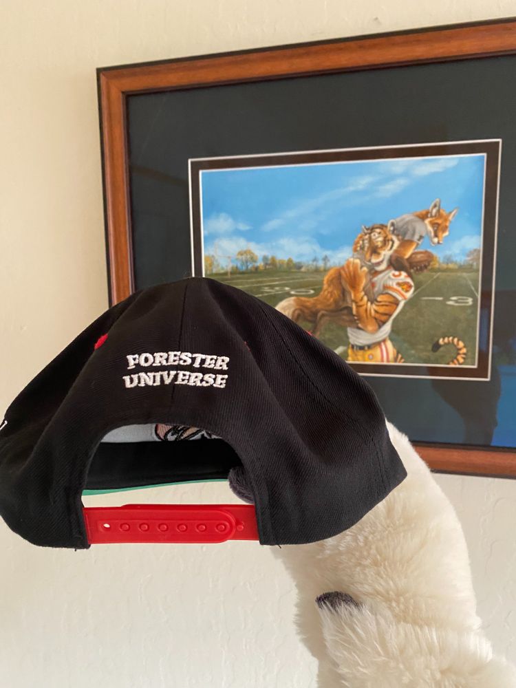 Firebird logo snapback cap with rainbow flag on left side, Chevali Firebirds name on right, and Forester Universe logo on back.