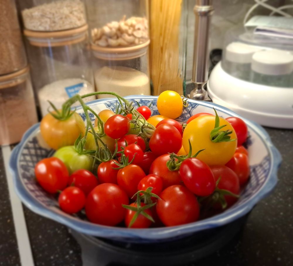 Red and yellow tomatoes in a Chinese bowl 