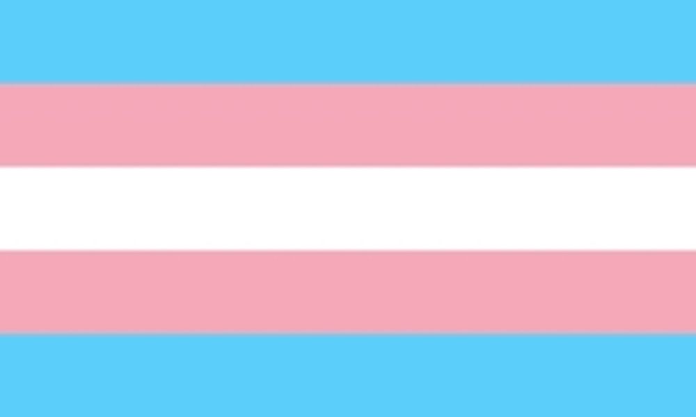 uma foto da bandeira trans