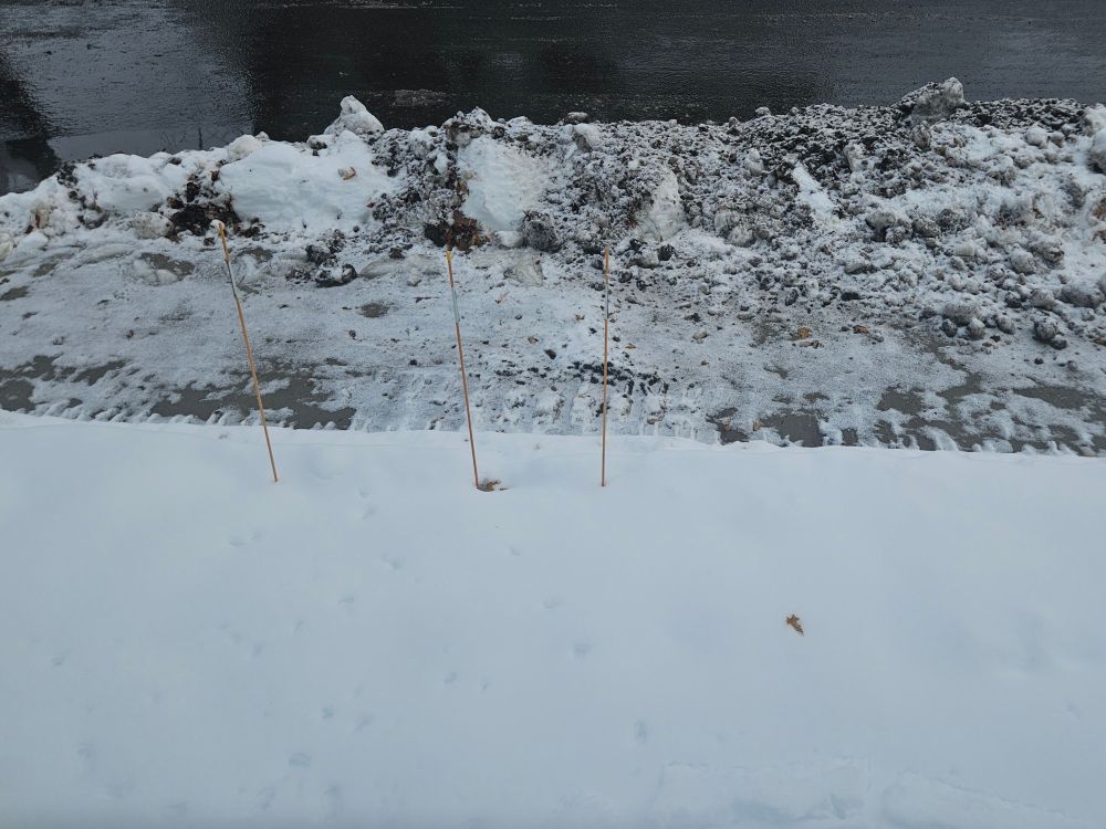 Poteaux pour délimiter terrain et trottoirs, pour guider la chenillette. 