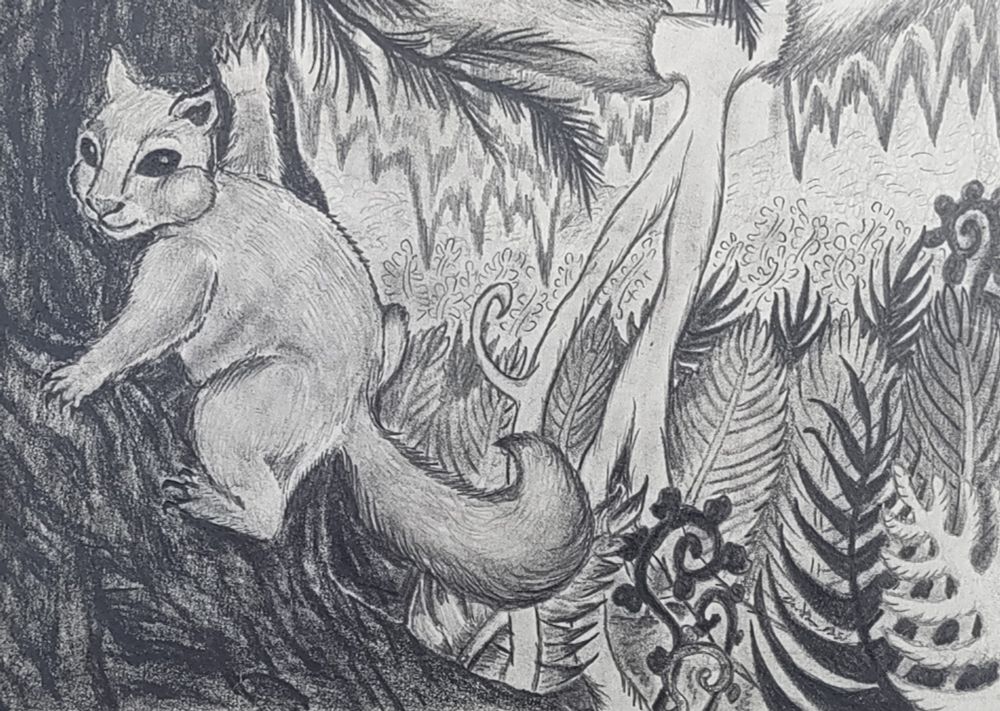 Graphite illustration of a Puffy Squirrel in an Old Growth Forest, drawn for Jane Nelson's poem "Observe," for the 2025 April Ars Poetica and shown in Bremerton, WA, at the Rimbert Illustration Gallery.