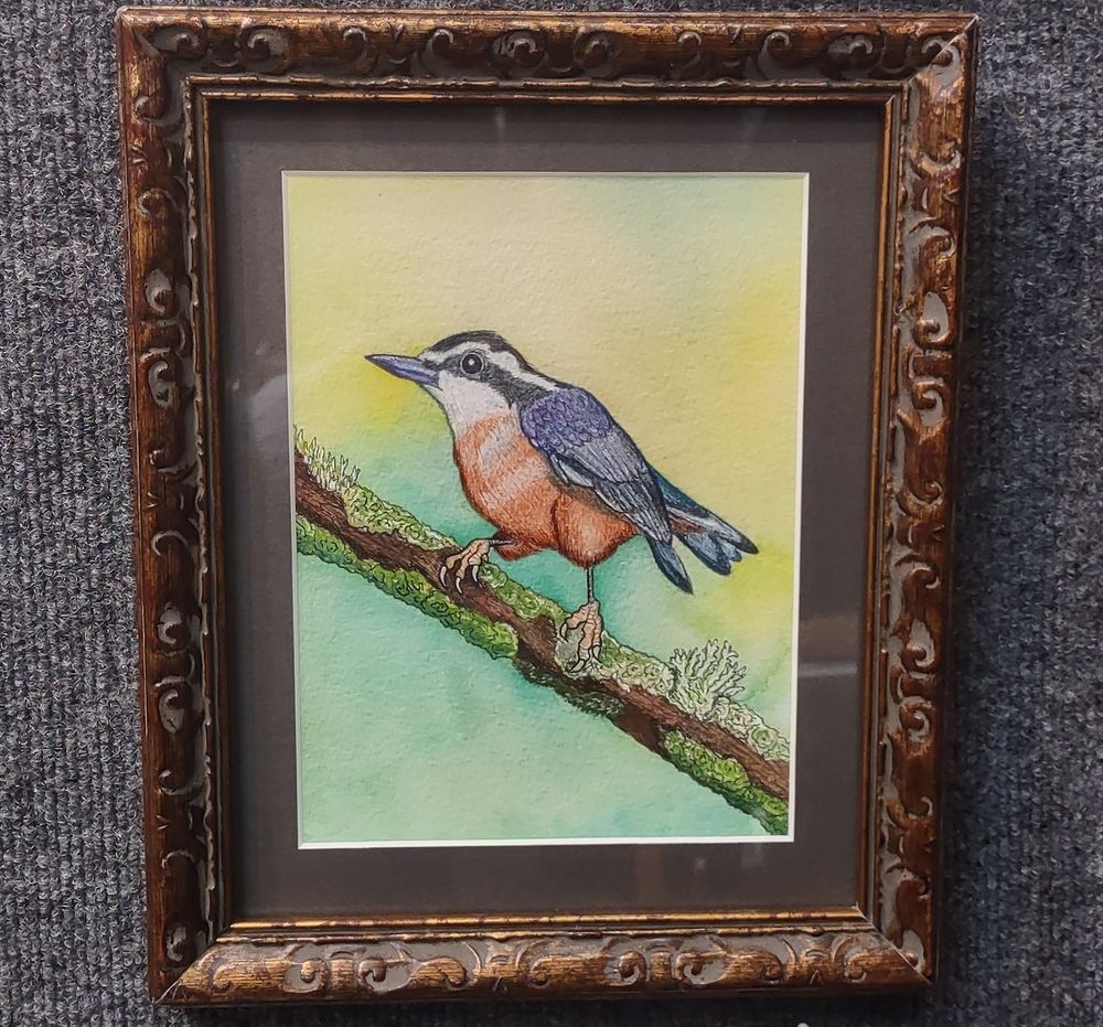 " A Nuthatch 'Lichen-ness' ," watercolor and ink piece by Donna Letterese, framed on the wall for the Small Works 2025 show up at Gallery North in Edmonds, WA 