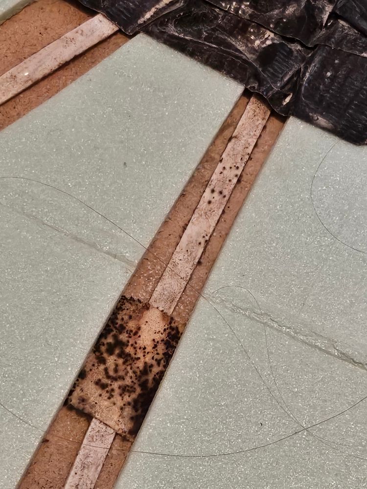 Closeup of mouldy tape and wires underneath my floor