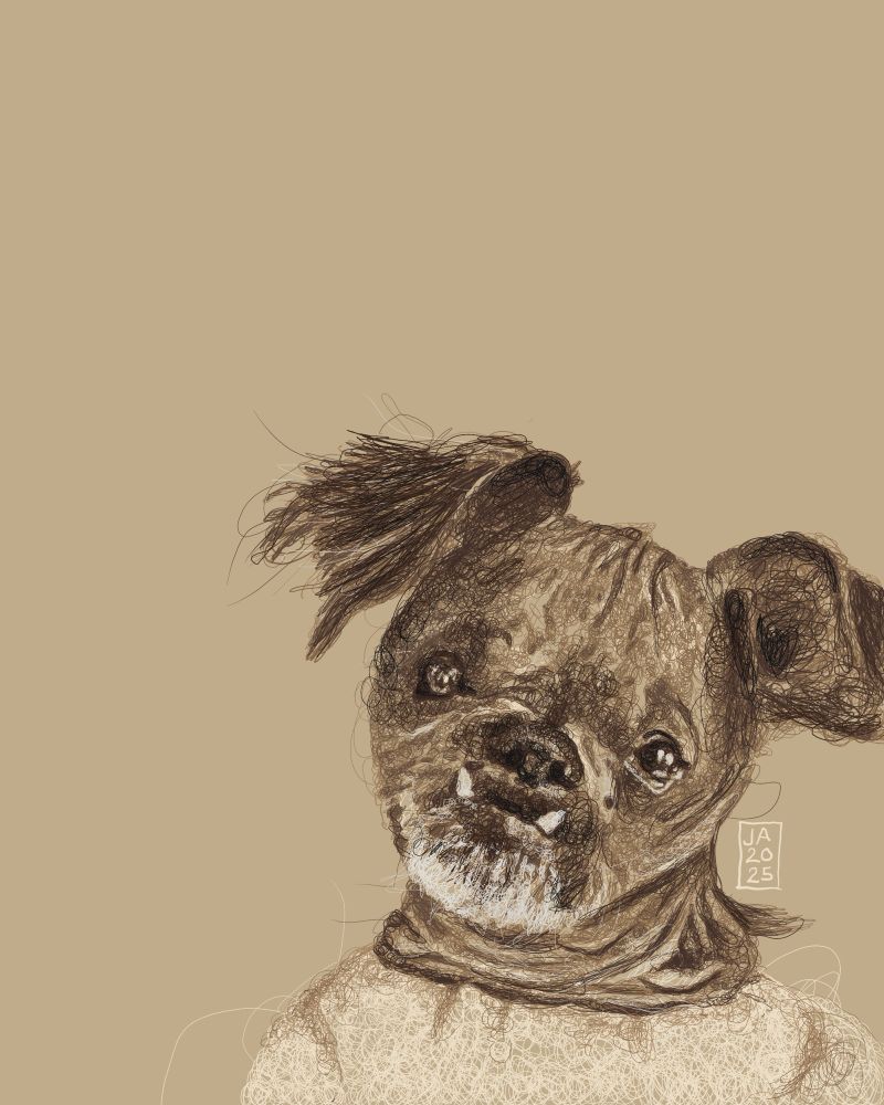 A hand-drawn portrait of an old, blind dog with an amazingly unique face. 