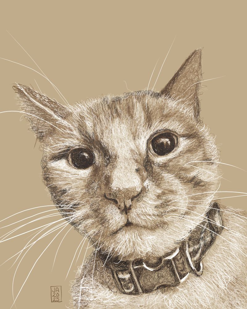 A drawing of a cat in tones of brown and white, staring inquisitively at the viewer.