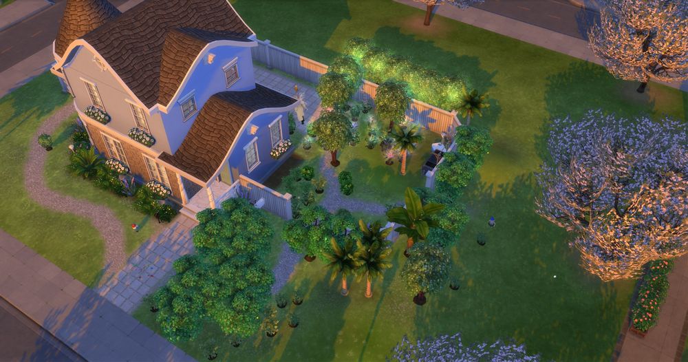 a backyard full of plants