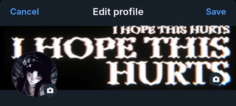 Edit profile tab showing a different profile picture