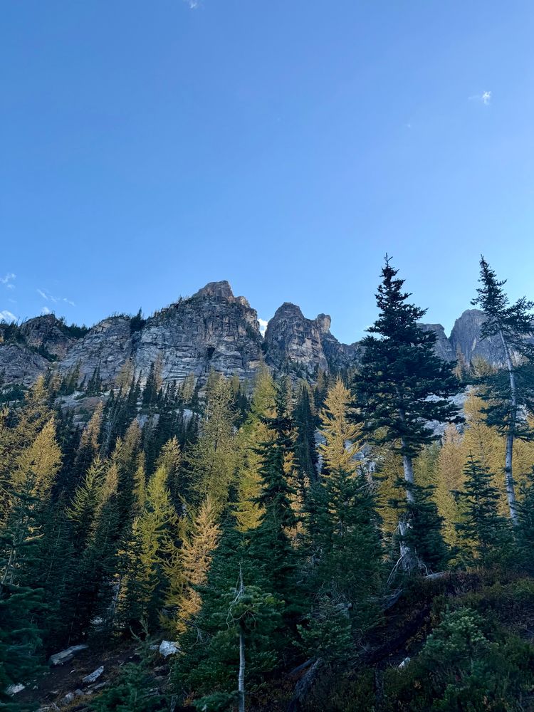 Green and yellow trees climb up a mountain under a blue sky.