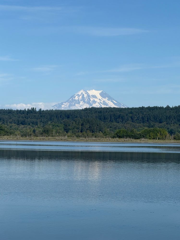 Mt. Rainier rises over a green wooded ridge and the Nisqually Estuary.