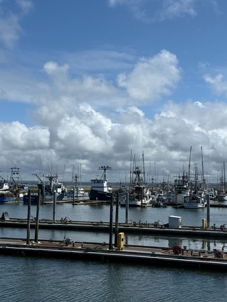 Fishing boats are docked in a bay under a cloudy blue sky.