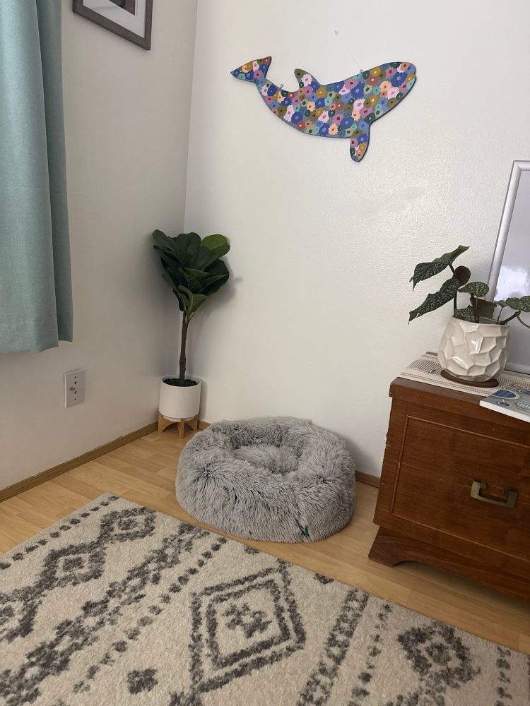 A gray fluffy dog bed sits on the floor next to a chest and a white and black geometric rug.
