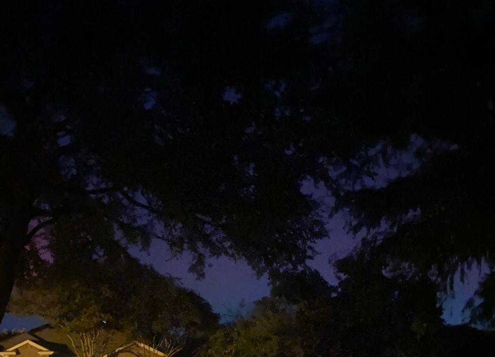 Purple and blue night sky show through tree tops over a house due to very powerful aurora borealis