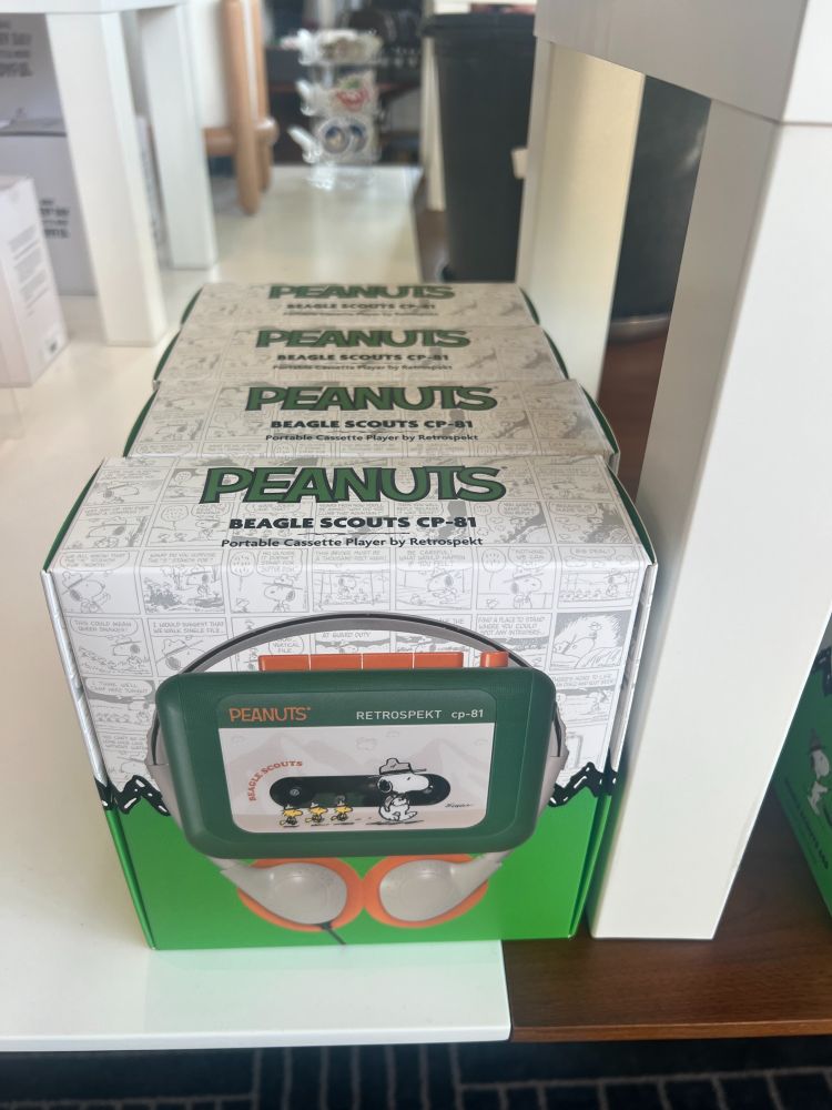 A Peanuts walkman with Snoopy and three little Beagle Scouts. It's adorable, but it's $99 and impractical. Waiting for a sale. I am a normal adult male.