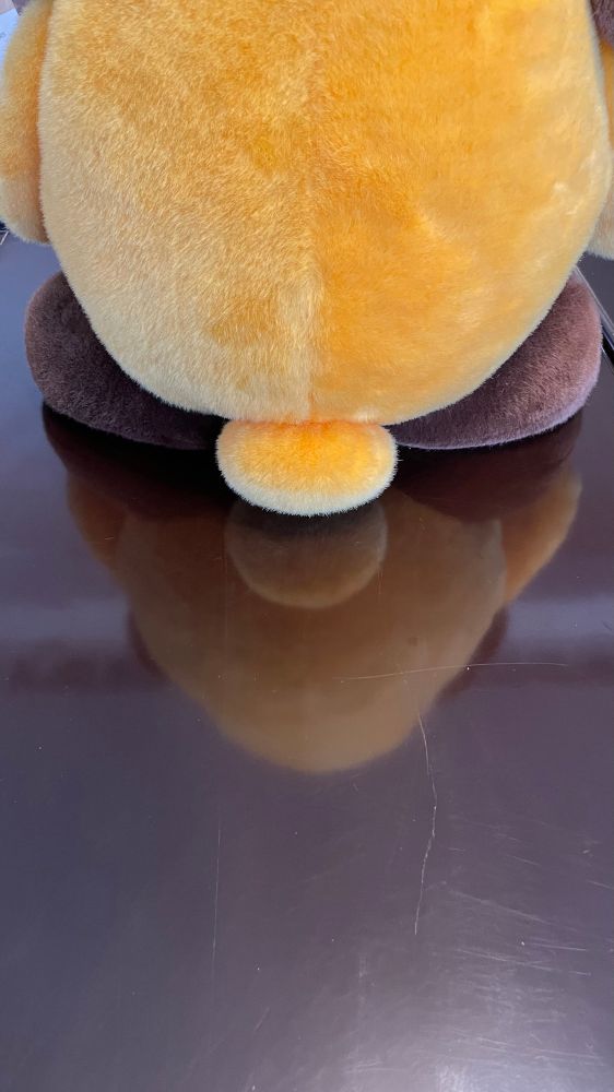 税関のイメージキャラクター、カスタム君のぬいぐるみ(尻)が机に反射している写真
こがね色の丸いしっぽはフワフワしている