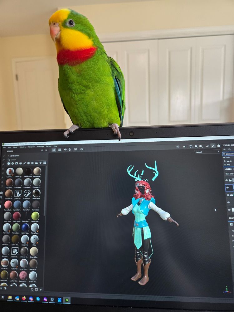 Jules the superb parrot sits on a laptop screen. The screen shows a Substance Painter project.