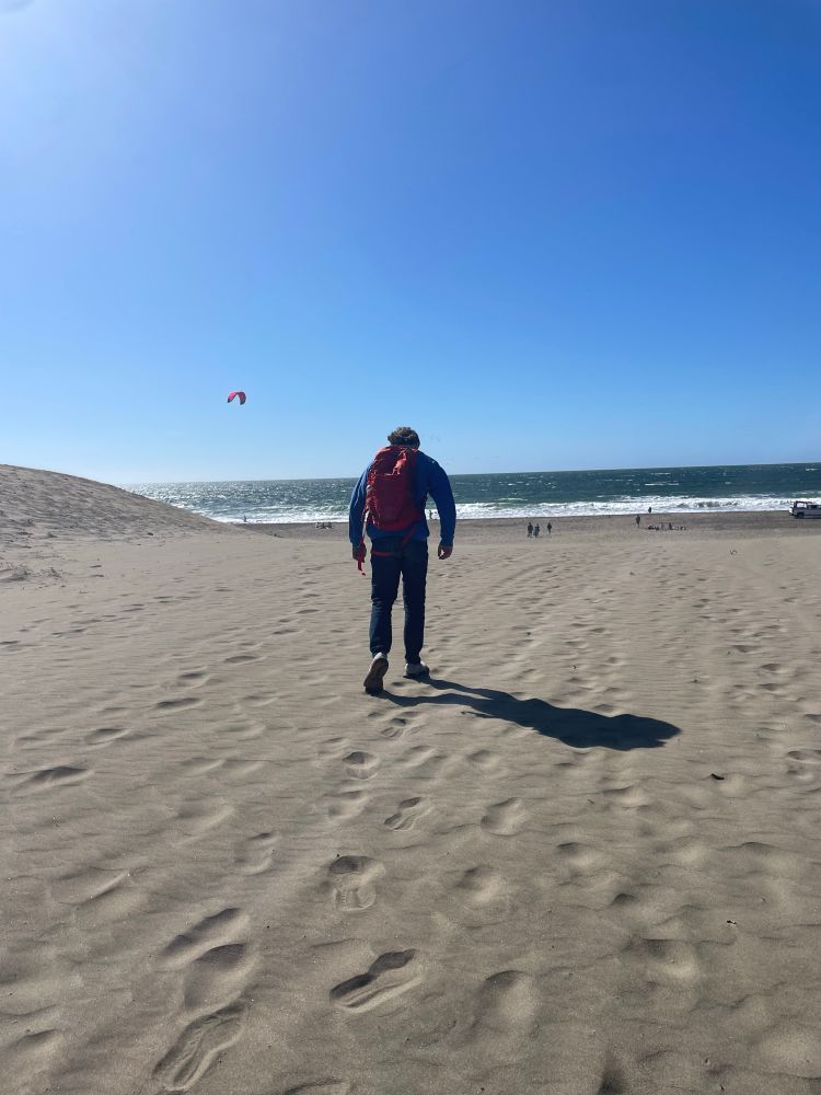 Henry walking away from the camera towards ocean beach 