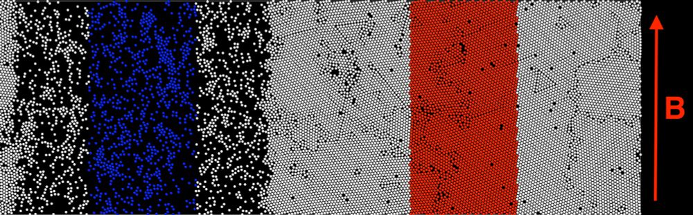 Motility-induced phase separation of active Brownian particles (ABPs) in a rectangular simulation box with periodic boundary conditions. A homogeneous alignment field parallel to the short axis of the box couples to the particle's dipole moments and aligns the directions of their self-propulsion velocities, which leads to an overall particle flow. In the gas-liquid coexistence regime, the ABPs phase-separate into two slabs, with a gas and a liquid phase, and the phase boundaries are oriented parallel to the field direction. This allows us to place two stacked square boxes in the center of each slab to measure the coexisting particle packing fractions for a given Peclet number, which mark points on the binodals delimiting the coexistence region. Due to the presence of defects, the packing fraction in the liquid phase is significantly lower than for hexagonal close packing.