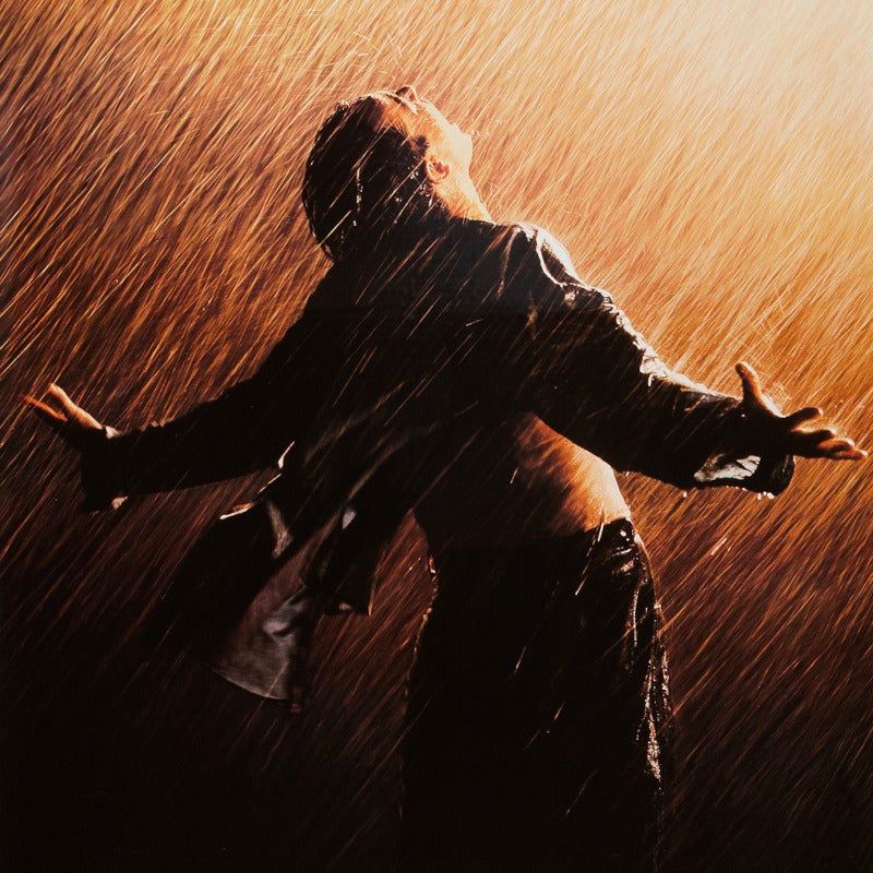 Andy in the rain after escaping from Shawshank Prison.