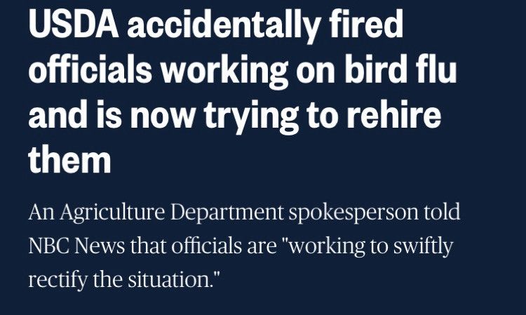 USDA accidentally fored officials working on bird flu and is now trying to rehire them